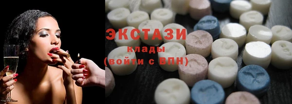 гидра Няндома
