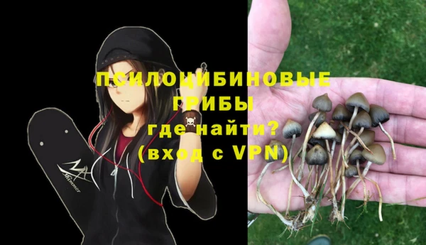 метамфетамин Осташков